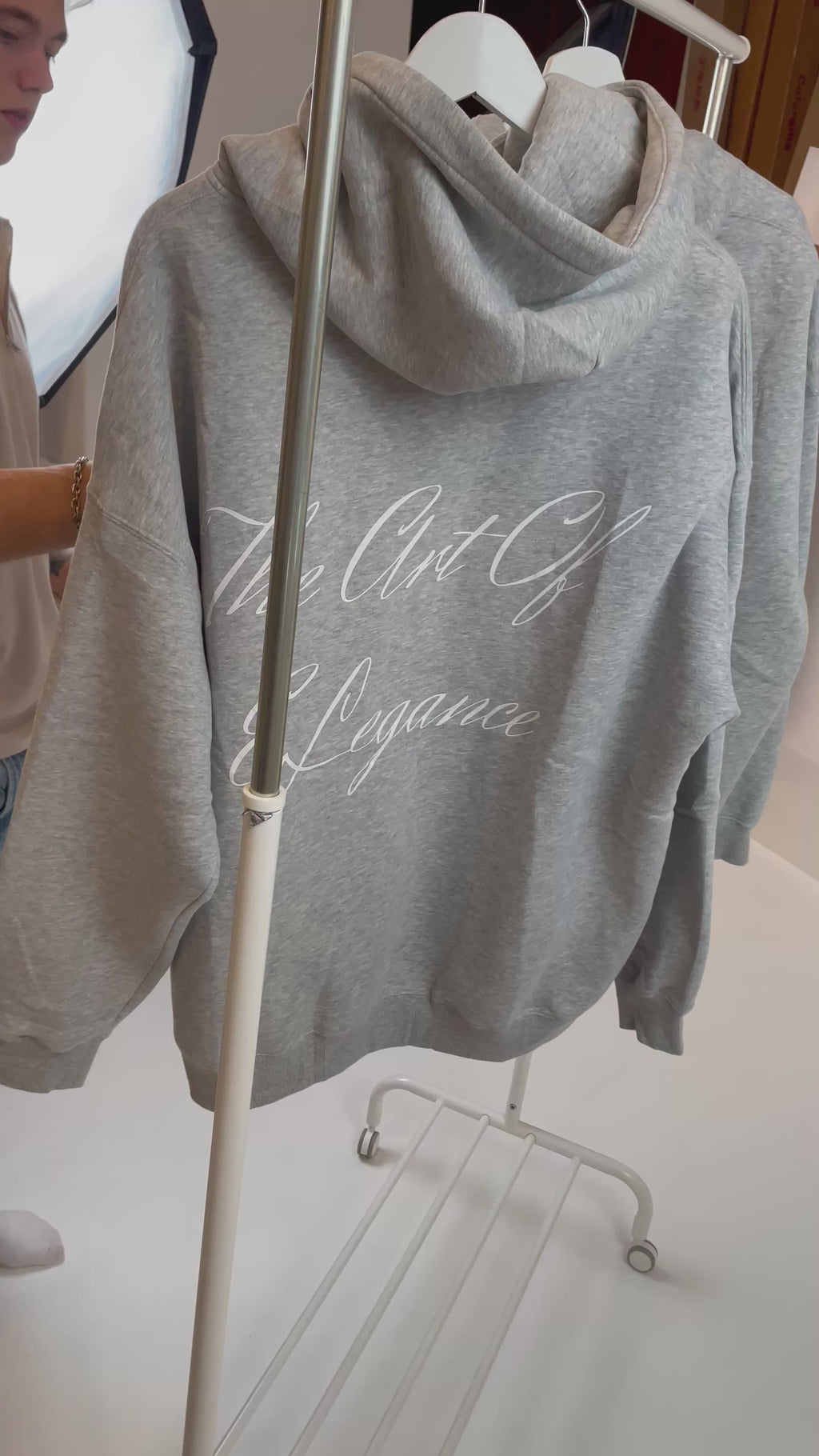 The Art Of Elegance Hoodie “Light Grey”